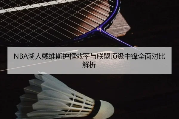 NBA湖人戴维斯护框效率与联盟顶级中锋全面对比解析