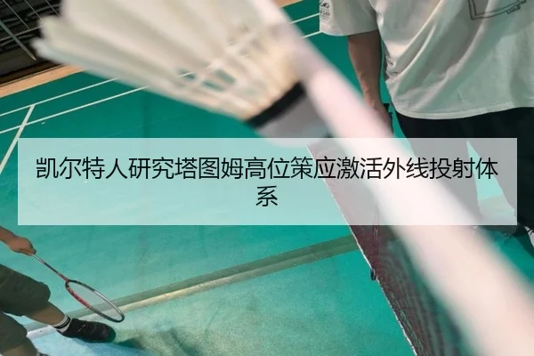 凯尔特人研究塔图姆高位策应激活外线投射体系